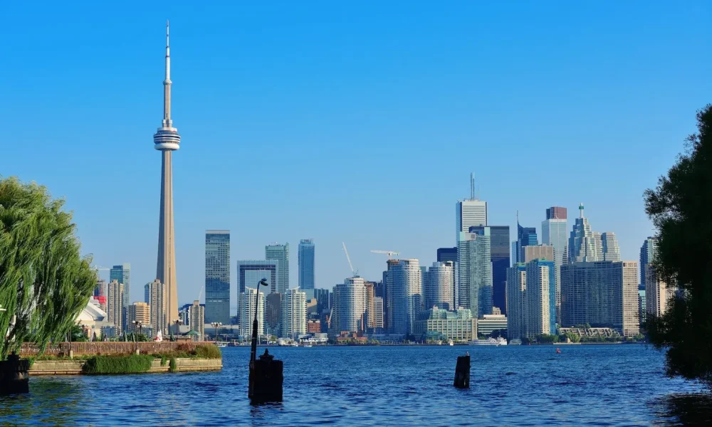 toronto-skyline-from-park_649448-3488